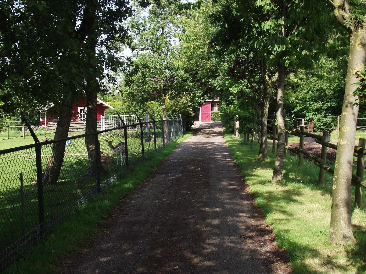 Vakantiehuisjes Landgoed Sonneborghe Kollumerzwaag Екстериор снимка