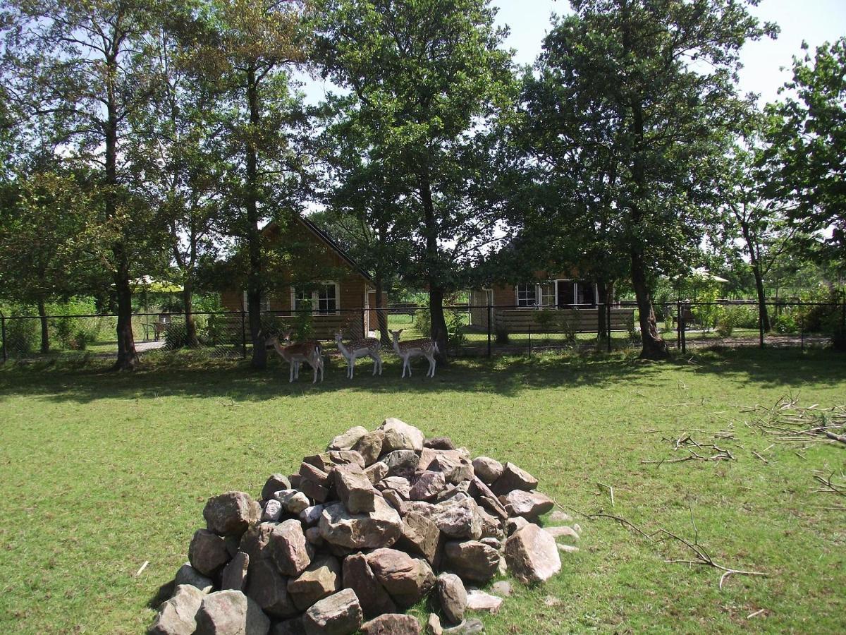 Vakantiehuisjes Landgoed Sonneborghe Kollumerzwaag Екстериор снимка